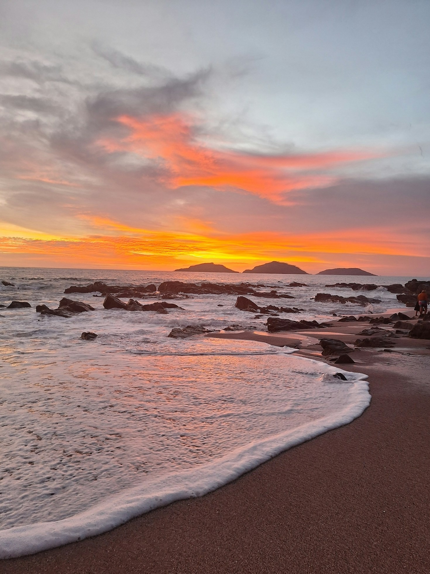 Insider Secrets to Enhancing Your Sunvivia Experience